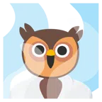 hot springs + owl