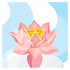 hot springs + lotus