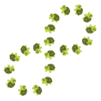 infinity + turtle