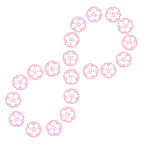 infinity + white flower
