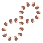 infinity + hedgehog