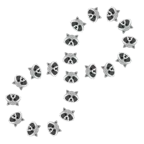 infinity + raccoon