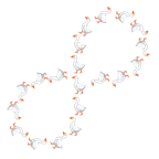 infinity + goose