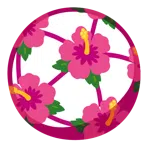 piłka nożna + kwiat hibiskusa