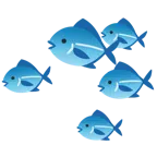 fish + fish